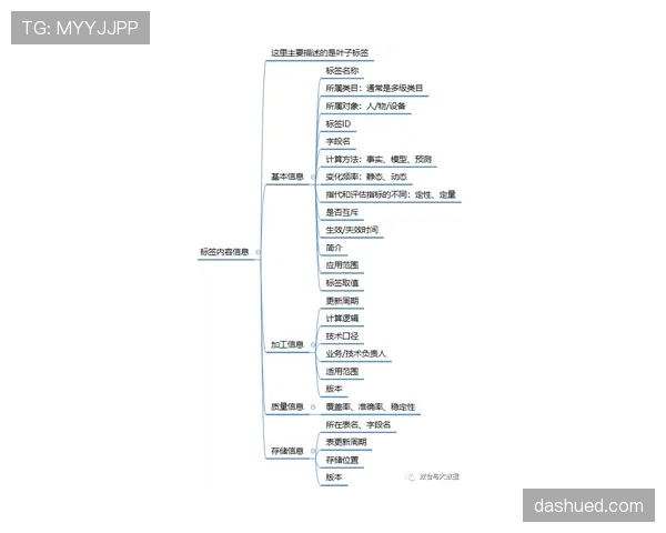 萨卡的战术依赖性与体系适配性分析 萨卡的战术依赖性与体系适配性分析